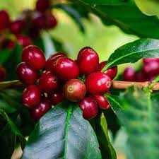 Tech Innovations Reshaping the Retail Landscape: AI Payments